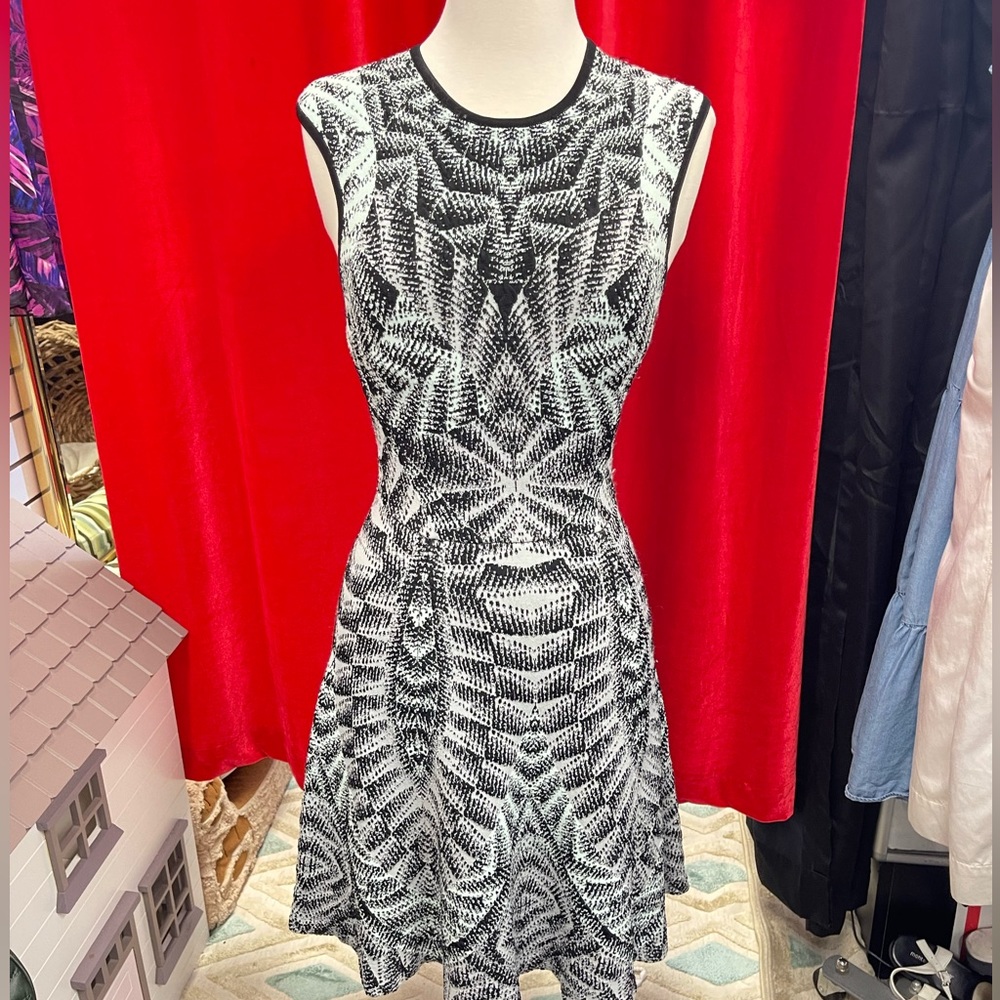 Ronny Kobo dress